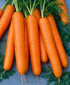 (C) Carrot Nantes 3 seeds 3g (124374)