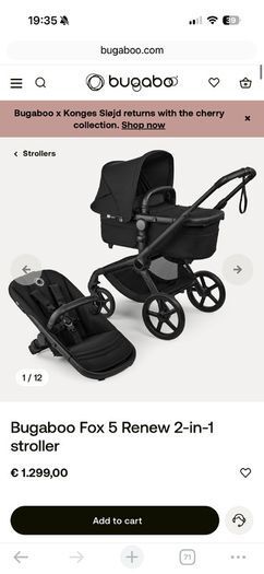 Black bugaboo renew