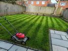 PC Garden Service Skerries Image 8