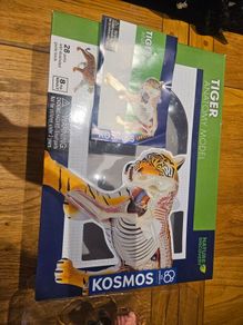 Thames & Kosmos Tiger Anatomy Model