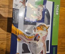 Thames & Kosmos Tiger Anatomy Model