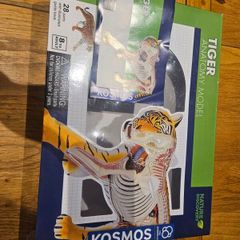 Thames & Kosmos Tiger Anatomy Model