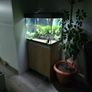 aquarium 90l Image 5