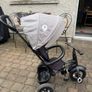 buggy Image 2
