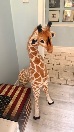 Giraffe