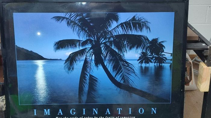 Imagination Poster Framed May the seeds of today be the fruits of tomorrow
