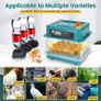 6-20 Eggs Eggs Automatic Turning, Humidity Control, Temperature Control:AVAILABLE FOR COLLECTION Image 5