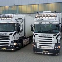 Lynn International Jobs in Ireland