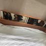 Bo Concept - 5ft walnut bed and under storage Image 8