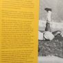 Pele: The Autobiography Image 5