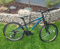 Spartan Xtreme bike