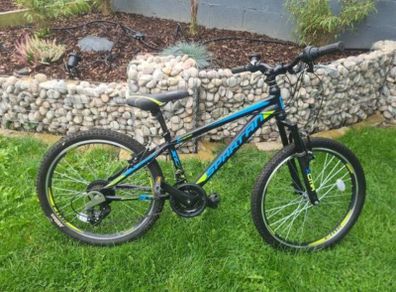 Spartan Xtreme bike