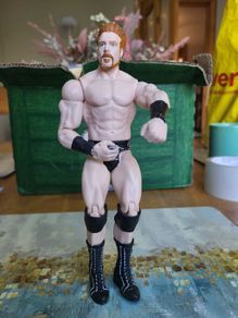 Sheamus wrestling action figure black trunks loose
