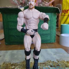 Sheamus wrestling action figure black trunks loose