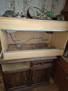 lizard/tortoise tank