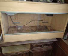 lizard/tortoise tank