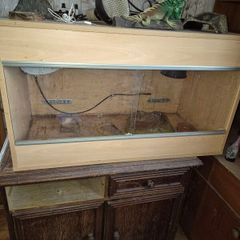 lizard/tortoise tank