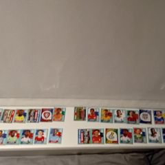 FIFA Panini stickers