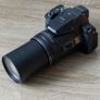 Nikon COOLPIX P900 16MP Bridge Camera 83x Optical Zoom 24-2000mm Wildlife Photography Wi-Fi EVF Full HD 1080p Video Image 2