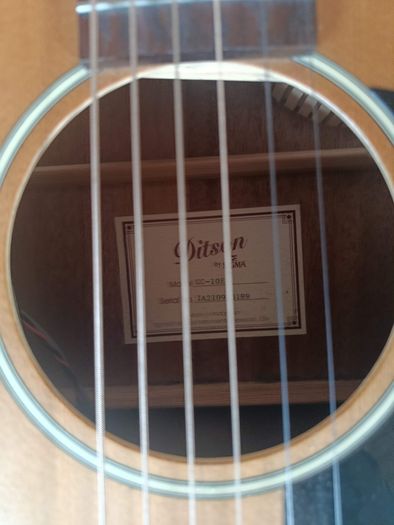 acoustic guitar