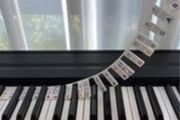 Piano key notes