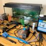 Aquarium Image 2