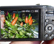 Samsung ES30 Black 12.1MP digital compact camera Tested