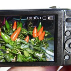 Samsung ES30 Black 12.1MP digital compact camera Tested