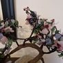 Bonsai Image 7