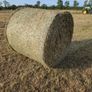 Hay round bales Image 3