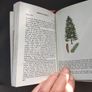 B00K-Trees Image 5