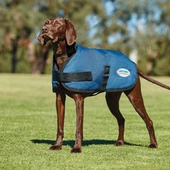 Waterproof dog coat