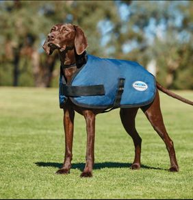 Waterproof dog coat