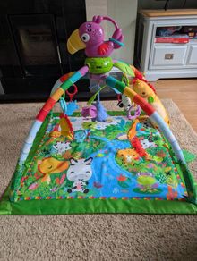 Fisher price play mat