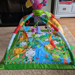 Fisher price play mat