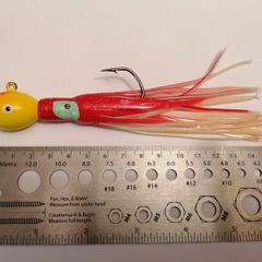 Fishing Jig