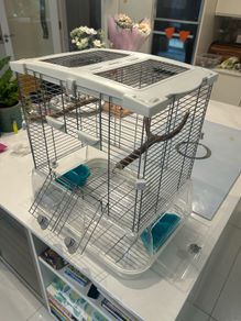 bird cage Vision