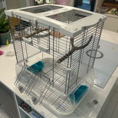 bird cage Vision