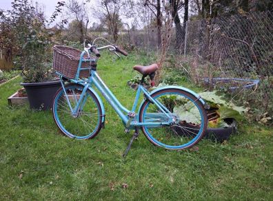 Ladies Bicycle