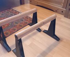 Paralette Bars