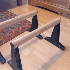 Paralette Bars