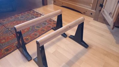 Paralette Bars