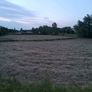 Hay Image 2