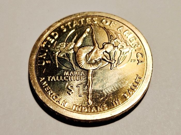 USA Native American Dollar coins