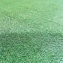 Artificial Grass (natural looking, high density) Image 2