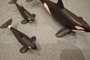 Schleich 14807 Wild Life Realistic Orca