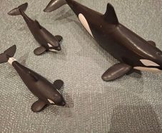 Schleich 14807 Wild Life Realistic Orca