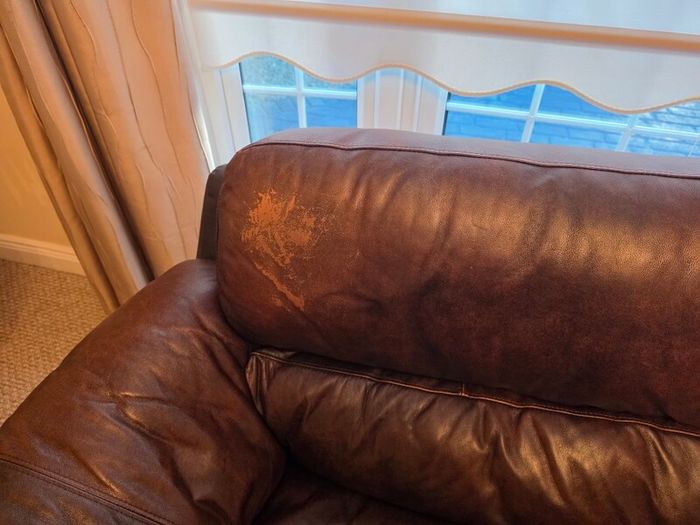 2 Couches Available