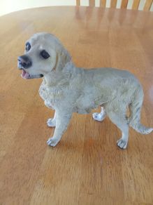 Figure of Labrador