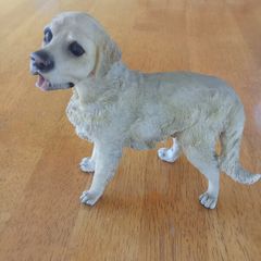 Figure of Labrador